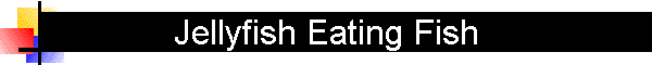 Jellyfish Eating Fish