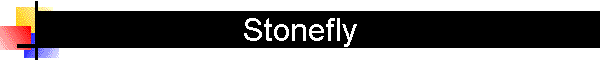 Stonefly