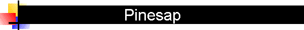 Pinesap